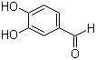 CAS # 139-85-5, 3,4-Dihydroxybenzaldehyde, Protocatechualdehyde