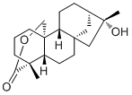 CAS # 139122-81-9, Tripterifordin, (-)-Tripterifordin, Antriptolactone, Hydroxyodolide, Hypodiolide A