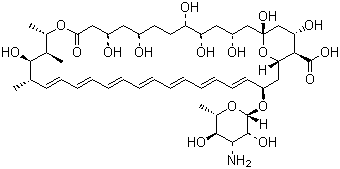 CAS # 1397-89-3, Amphotericin B, 33-[(3-Amino-3,6-dideoxy-beta-D-mannopyranosyl)oxy]-1,3,5,6,9,11,17,37-octahydroxy-15,16,18-trimethyl-13-oxo-14,39-Dioxabicyclo[33.3.1]nonatriaconta-19,21,23,25,27,29,31-heptaene-36-carboxylic acid, Fungizone
