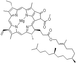 CAS # 1406-65-1, Chlorophyll
