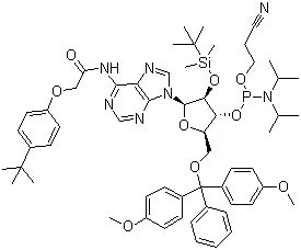 CAS 登录号：149989-64-0, 5'-O-(4,4-二甲氧基三苯甲基)-2'-O-[(叔丁基)二甲基硅基]-N-[[4-(叔丁基)苯氧基]乙酰基]腺苷-3'-(2-氰基乙基-N,N-二异丙基)亚磷酰胺