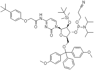 CAS 登录号：149989-66-2, 5'-O-(4,4-二甲氧基三苯甲基)-2'-O-[(叔丁基)二甲基硅基]-N-[[4-(叔丁基)苯氧基]乙酰基]胞苷-3'-(2-氰基乙基-N,N-二异丙基)亚磷酰胺