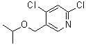 CAS 登录号：1602518-20-6, 2,4-二氯-5-[(1-甲基乙氧基)甲基]吡啶