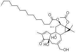 CAS 登录号：16561-29-8, 12-O-十四烷酰佛波醋酸酯-13