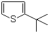structure of CAS# 1689-78-7, 2-叔丁基噻吩