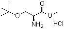 structure of CAS# 17114-97-5, O-叔丁基-L-丝氨酸甲酯盐酸盐