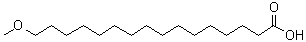 CAS # 173288-96-5, 16-Methoxyhexadecanoic acid, omega-Methoxypalmitic acid