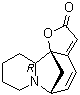 CAS 登录号：1857-30-3, (+)-右旋别一叶萩碱
