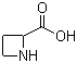 CAS 登录号：20063-89-2, DL-氮杂环丁烷-2-羧酸