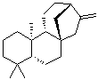 CAS # 20070-61-5, (-)-Phyllocladene, 8beta,13beta-Kaur-16-ene