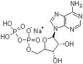 CAS 登录号：20398-34-9, 5'-二磷酸腺苷钠盐