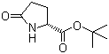 structure of CAS# 205524-46-5, D-焦谷氨酸叔丁酯