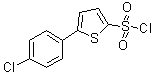 CAS 登录号：209592-43-8, 5-(4-氯苯基)-2-噻吩磺酰氯