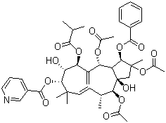 CAS # 210108-87-5, Jatrophane 3, 2,5,14-Triacetoxy-3-benzoyloxy-8,15-dihydroxy-7-isobutyroyloxy-9-nicotinoyloxyjatropha-6(17),11E-diene