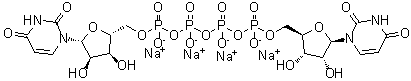 structure of CAS# 211427-08-6, Diquafosol tetrasodium