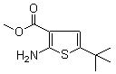 CAS 登录号：216574-71-9, 5-叔丁基-2-氨基噻吩-3-羧酸甲酯