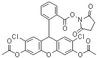 CAS 登录号：216964-01-1, 2',7'-二氯二氢荧光素二乙酸酯琥珀酰亚胺基酯