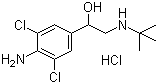 structure of CAS# 21898-19-1, 盐酸克仑特罗
