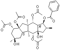 CAS # 219916-77-5, (1S,2S,3aR,4R,4aS,4bS,6R,8S,8aS,9aR,10R,10aR)-Dodecahydro-2,4a,6,9a-tetramethylcyclopenta[b]fluorene-1,3a,4,6,8,8a,10(1H,4H)-heptol 4,8,8a,10-tetraacetate 1-benzoate