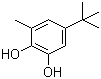 CAS # 2213-66-3, 5-tert-Butyl-3-methyl-1,2-benzenediol, 6-Methyl-4-tert-butyl-1,2-benzenediol, 3-Methyl-5-tert-butyl-1,2-dihydroxybenzene