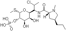 CAS 登录号：24729-96-2, 克林霉素磷酸酯