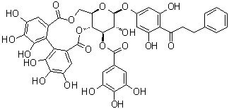 CAS # 271579-11-4, Thonningianin A, Pinocembrin dihydrochalcone 7-O-[3''-O-galloyl-4'',6''-hexahydroxydiphenoyl]-beta-D-glucoside