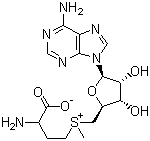 CAS # 29908-03-0, S-Adenosyl-L-methionine, (3S)-5'-[(3-Amino-3-carboxylatopropyl)methylsulphonio]-5'-deoxyadenosine, SAM