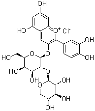 CAS 登录号：31073-32-2, 2-(3,4-二羟基苯基)-5,7-二羟基-3-[(2-O-beta-D-吡喃木糖基-beta-D-吡喃半乳糖基)氧基]-1-苯并吡喃鎓氯化物