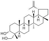 CAS 登录号：32451-85-7, 20(29)-扇豆烯-3,23-二醇