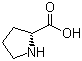 CAS 登录号：344-25-2, D-脯氨酸, D-吡咯烷-2-羧酸