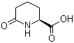 structure of CAS# 34622-39-4, (S)-2-哌啶酮-6-羧酸