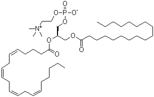 1-Stearoyl-2-arachidonoyl-sn-glycero-3-phosphorylcholine molecular structure (CAS 35418-59-8)