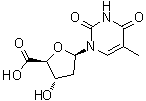 CAS 登录号：3544-99-8, 胸苷-5'-羧酸