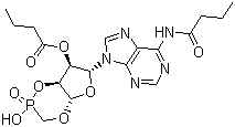 CAS 登录号：362-74-3, 二丁酰环磷腺苷, 二丁酰环磷腺甙