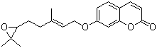CAS # 36414-00-3, (+/-)-Epoxyaurapten, 6',7'-Epoxy-7-geranyloxycoumarin, 7-[[(2E)-5-(3,3-Dimethyl-2-oxiranyl)-3-methyl-2-penten-1-yl]oxy]-2H-1-benzopyran-2-one