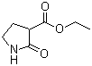 structure of CAS# 36821-26-8, 2-羰基吡咯烷-3-羧酸乙酯