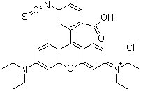 CAS 登录号：36877-69-7, 罗丹明 B 异硫氰酸酯