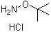 structure of CAS# 39684-28-1, O-叔丁基羟胺盐酸盐