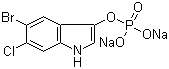 CAS 登录号：404366-59-2, 5-溴-6-氯-3-吲哚基磷酸酯二钠盐