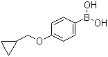 structure of CAS# 411229-67-9, 4-(环丙基甲氧基)苯硼酸