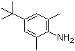 CAS 登录号：42014-60-8, 4-叔丁基-2,6-二甲基苯胺