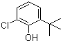 CAS 登录号：4237-37-0, 2-叔丁基-6-氯苯酚