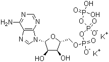 structure of CAS# 42373-41-1, 腺苷-5'-三磷酸二钾盐