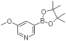 CAS # 445264-60-8, 3-Methoxy-5-pyridineboronic acid pinacol ester, 3-Methoxypyridine-5-boronic acid pinacol ester, 5-Methoxy-3-pyridineboronic acid pinacol ester, 5-Methoxypyridine-3-boronic acid pinacol ester, 3-Methoxy-5-(4,4,5,5-tetramethyl-1,3,2-dioxaborolan-2-yl)pyridine