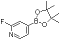 structure of CAS# 458532-86-0, 2-氟吡啶-4-硼酸频哪醇酯