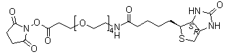 structure of CAS# 459426-22-3, 21-[(3aS,4S,6aR)-六氢-2-氧代-1H-噻吩并[3,4-d]咪唑-4-基]-17-氧代-4,7,10,13-四氧杂-16-氮杂二十一碳酸 2,5-二氧代-1-吡咯烷基酯