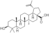 CAS 登录号：472-15-1, 白桦脂酸, 桦木酸