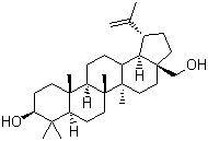 CAS 登录号：473-98-3, 白桦脂醇, 桦木醇