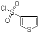 CAS 登录号：51175-71-4, 3-噻吩磺酰氯