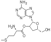 CAS 登录号：51763-61-2, 3'-脱氧腺苷 2'-(L-蛋氨酸酯)